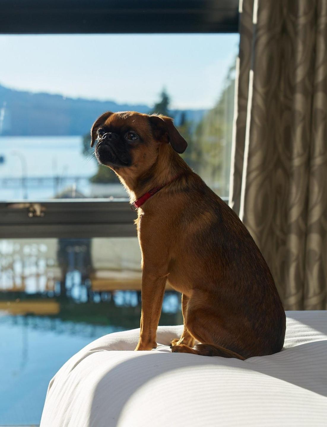 Brentwood Bay Resort & Spa Exterior foto